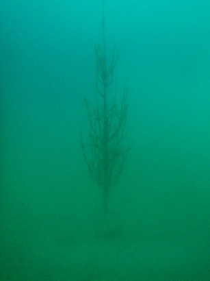 PC300048_Zmenit velikost.JPG