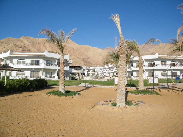 2010_11032010DAHAB0120