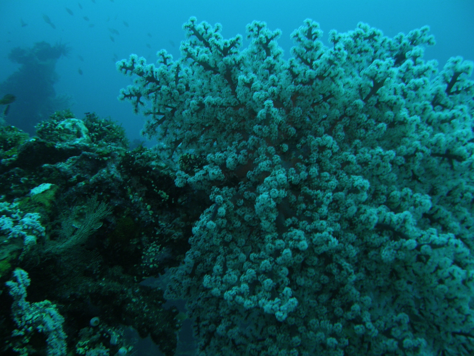 PA030033