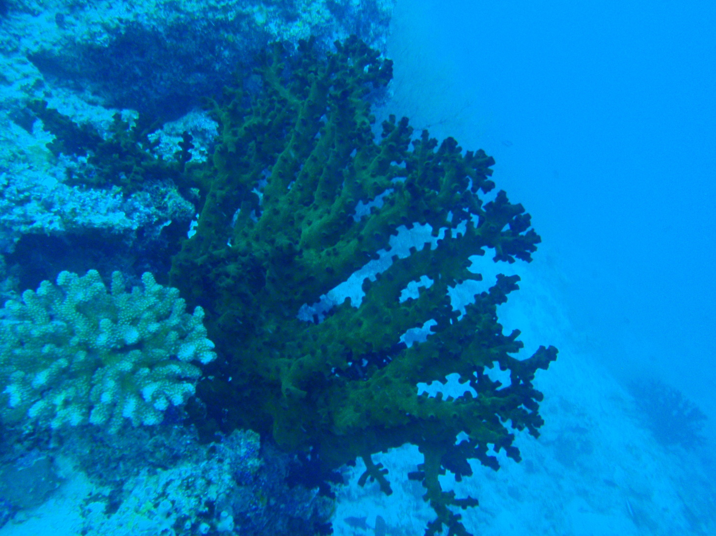 P5290212