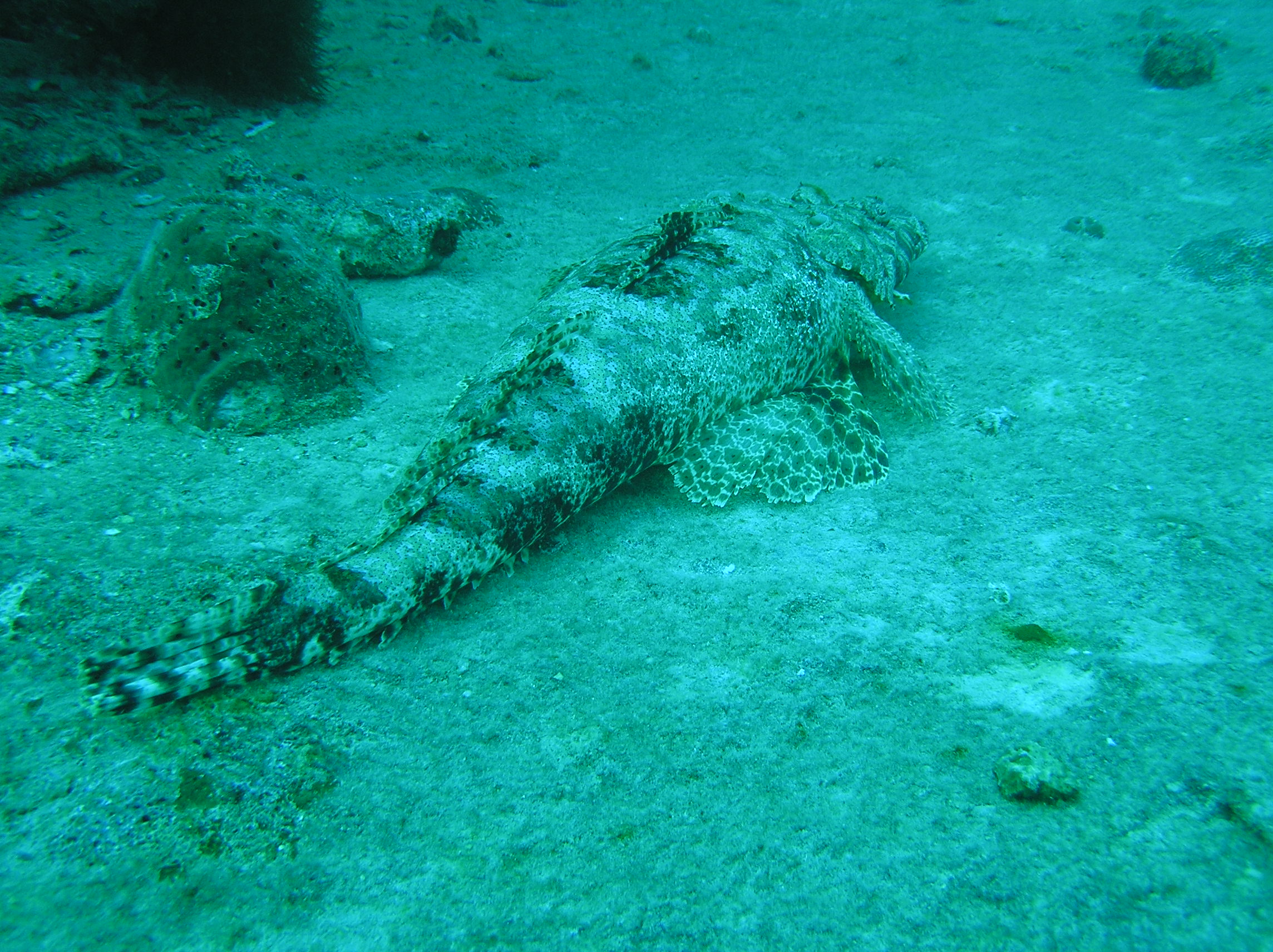 P3150166.JPG
