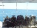 P1000428.JPG