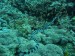 P1030317