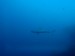P5290254